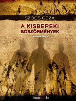 cover image of A kisbereki böszörmények